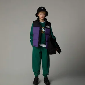 Gilet 1996 Retro Nuptse Pour Enfant