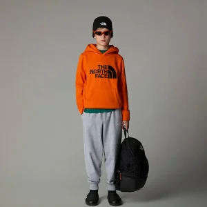 Sweat à Capuche Drew Peak Pour Garçon