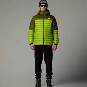 Veste à Capuche Terra Peak Pour Homme