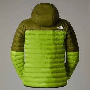 Veste à Capuche Terra Peak Pour Homme