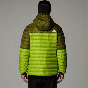 Veste à Capuche Terra Peak Pour Homme