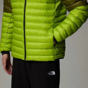 Veste à Capuche Terra Peak Pour Homme